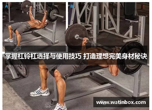 掌握杠铃杠选择与使用技巧 打造理想完美身材秘诀