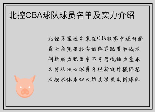 北控CBA球队球员名单及实力介绍